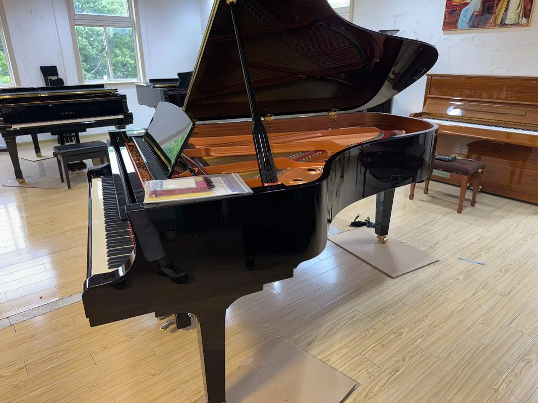 嘉庚2025音乐学钢琴-第2张图片-泰美艺术培训