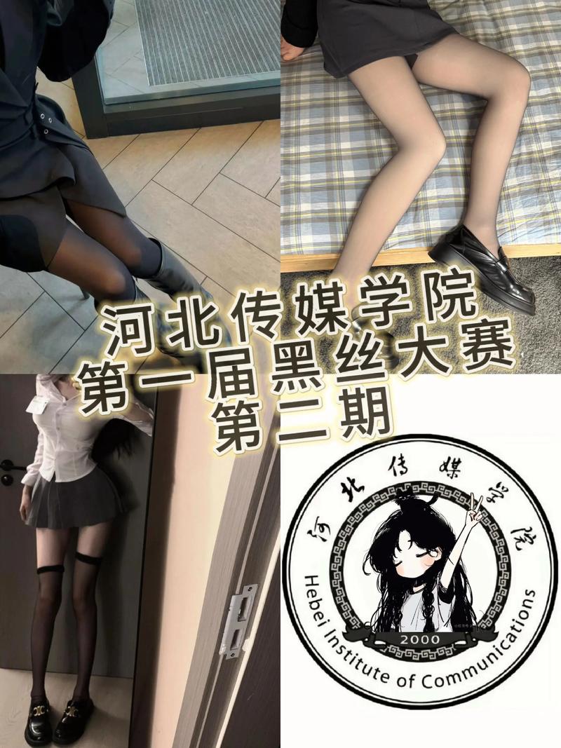 河北传媒学院不用艺考？招生政策有调整？-第2张图片-泰美艺术培训