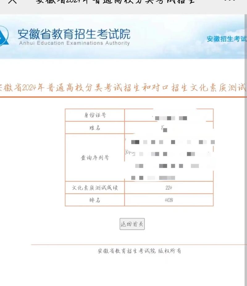 安徽省美术统考成绩怎么查？-第2张图片-泰美艺术培训