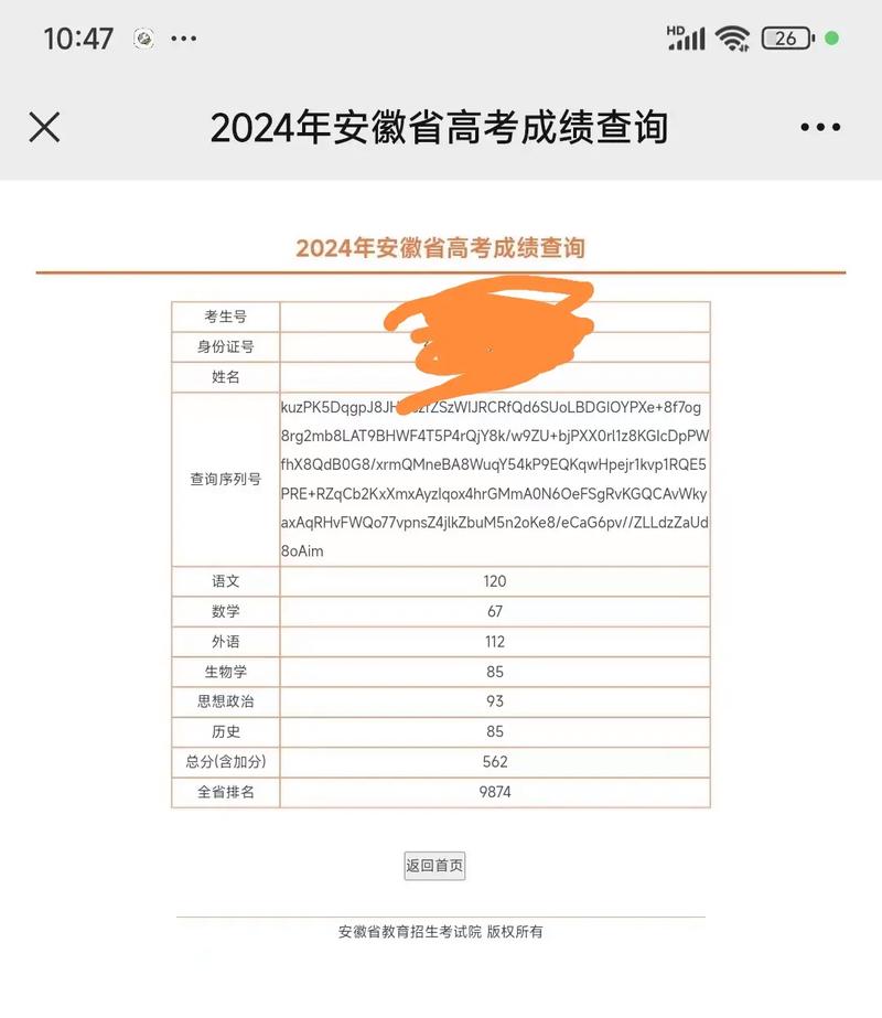 安徽省美术统考成绩怎么查？-第3张图片-泰美艺术培训