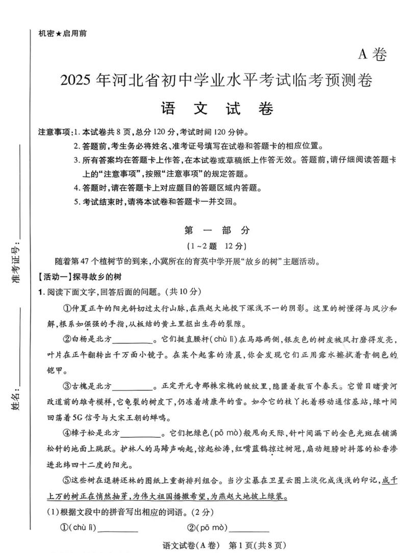 河北省2025高中联考-第1张图片-泰美艺术培训
