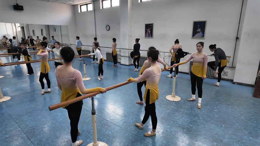 舞蹈专业大学生都学些什么课程？-第2张图片-泰美艺术培训