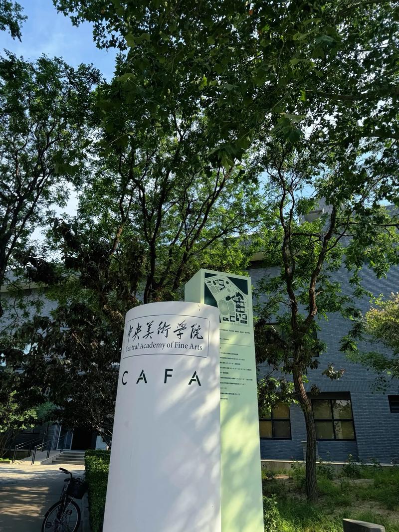 中央美术学院艺术实验系有何特色？-第1张图片-泰美艺术培训