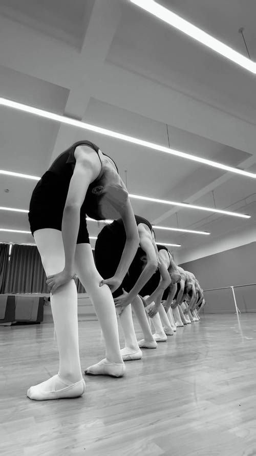 艺考舞蹈女生帮后腿图片引争议？-第3张图片-泰美艺术培训