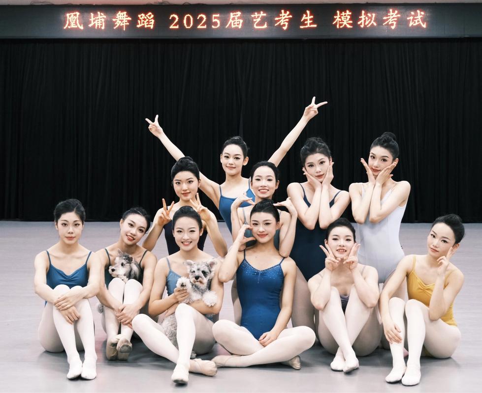 湖南省体育舞蹈联考如何备考？-第1张图片-泰美艺术培训