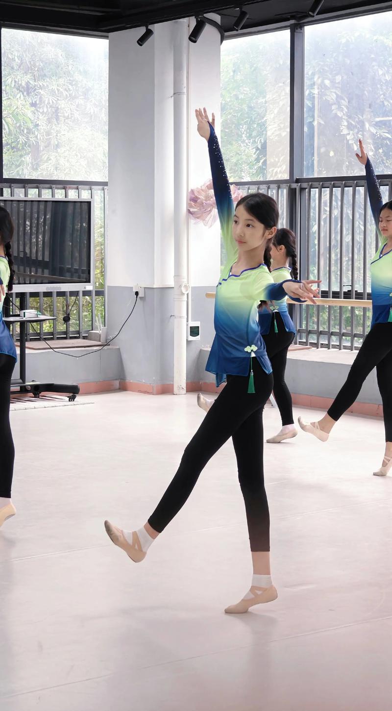 高考音乐与舞蹈视频哪里能下载？-第3张图片-泰美艺术培训