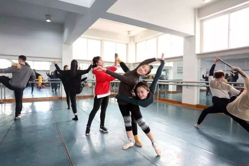 大连大学舞蹈招理工科生吗？-第3张图片-泰美艺术培训