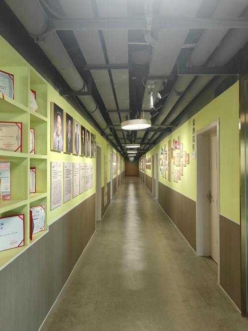 苏州高考艺考培训学校哪家好？-第2张图片-泰美艺术培训