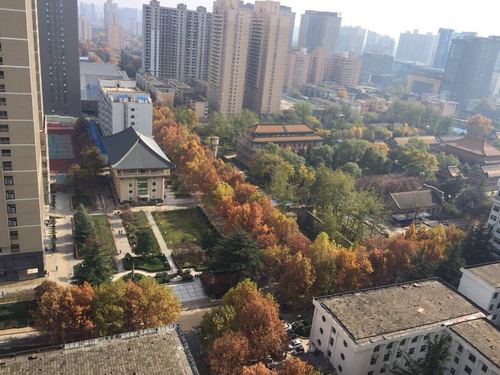 2025年西安音乐学院招生计划何时公布？-第2张图片-泰美艺术培训