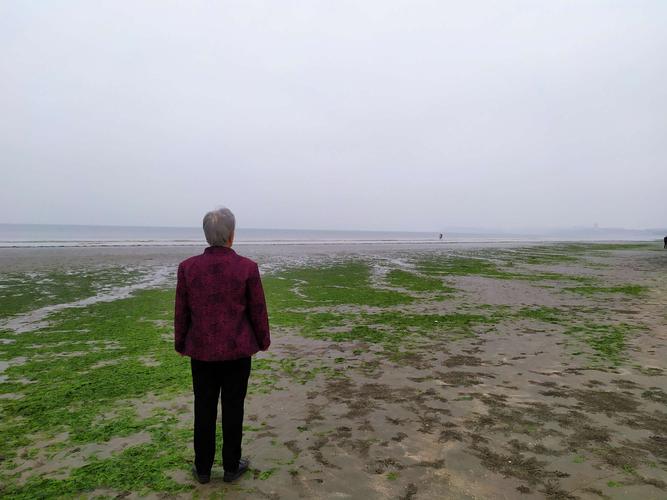 防城港防城舞蹈招生有哪些课程可选？-第3张图片-泰美艺术培训