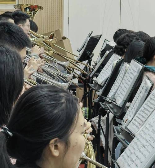 2025同济大学音乐类招生有何新变化?-第1张图片-泰美艺术培训 2025同济大学音乐类招生有何新变化?-第1张图片-泰美艺术培训