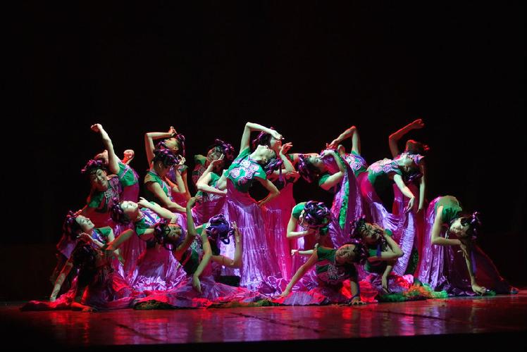 舞蹈艺术职业学院该如何选？-第1张图片-泰美艺术培训