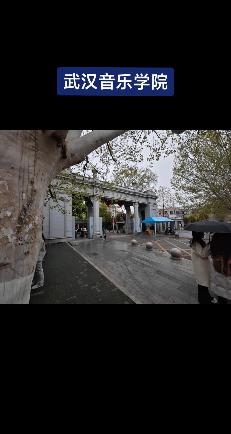 武大与武音有何独特关联或故事？-第2张图片-泰美艺术培训