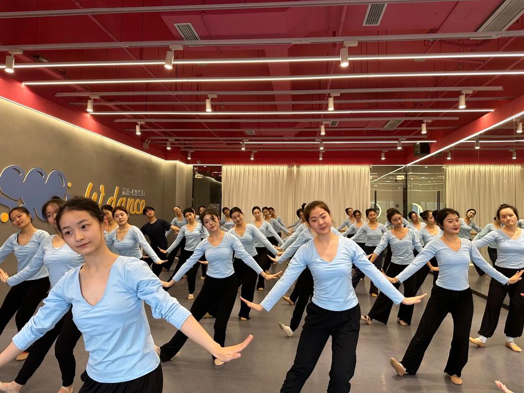 北京体育大学舞蹈好考吗-第2张图片-泰美艺术培训