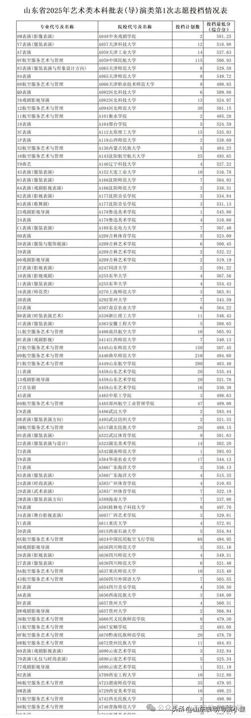 2025音乐表演分数线多少？-第1张图片-泰美艺术培训