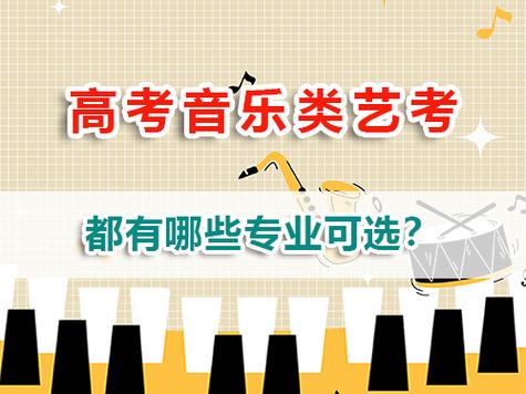 高考艺术音乐专业有哪些?-第2张图片-泰美艺术培训 高考艺术音乐专业有哪些?-第2张图片-泰美艺术培训