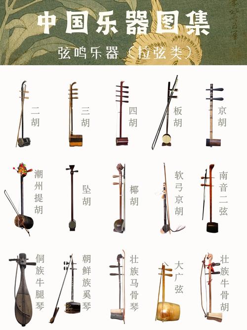 器乐类艺考 常考的乐器-第2张图片-泰美艺术培训