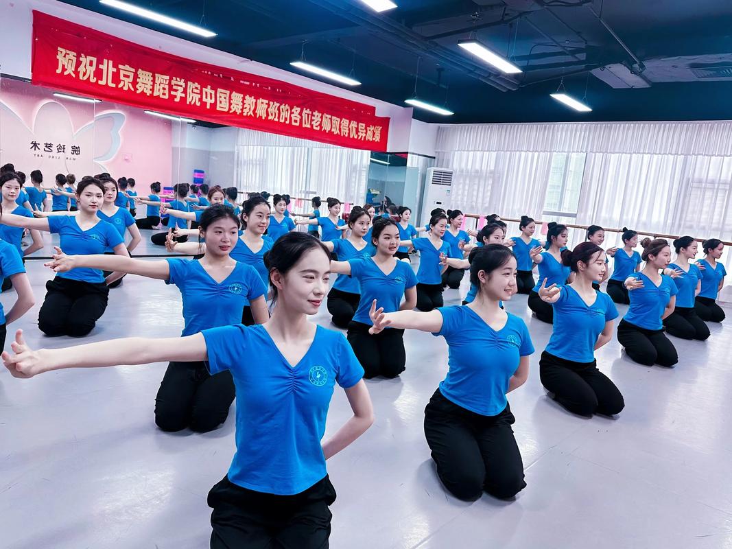 学舞蹈的报考海关可以么-第1张图片-泰美艺术培训