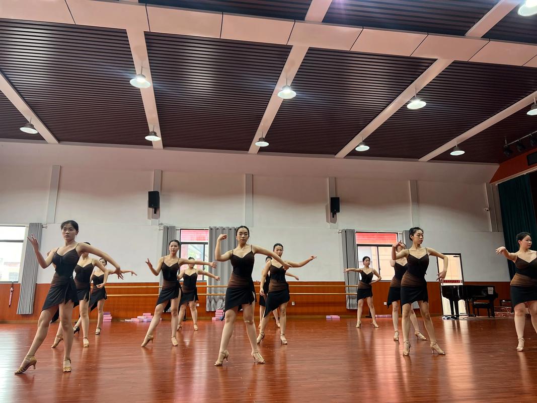 舞蹈中专转表演系，能转吗？-第2张图片-泰美艺术培训