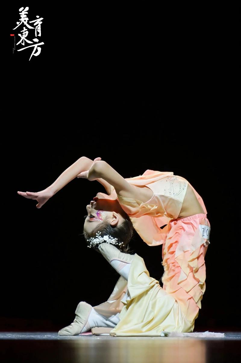 舞蹈中专转表演系，能转吗？-第3张图片-泰美艺术培训