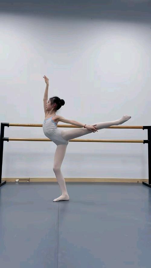 河南艺考舞蹈考哪些舞种？-第2张图片-泰美艺术培训