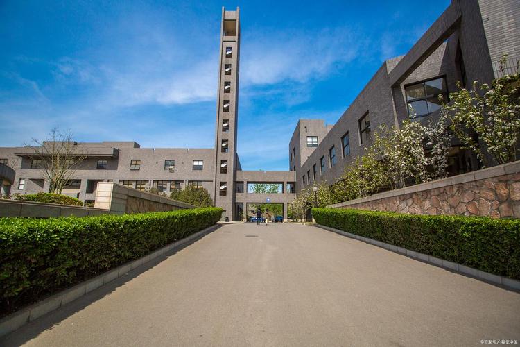 2025美术校考有哪些学校招生？-第1张图片-泰美艺术培训