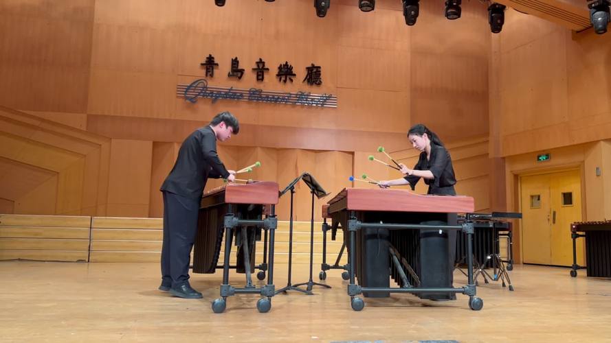 嘉兴一中 2025音乐-第1张图片-泰美艺术培训