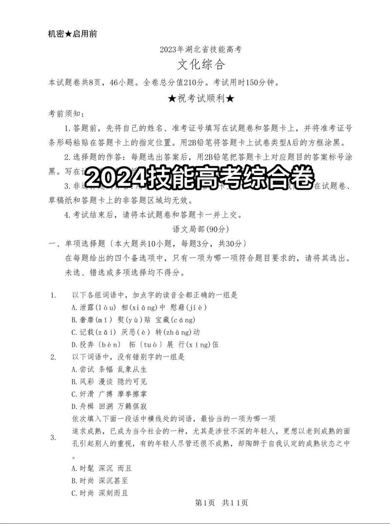 湖北省技能高考联考答案-第2张图片-泰美艺术培训