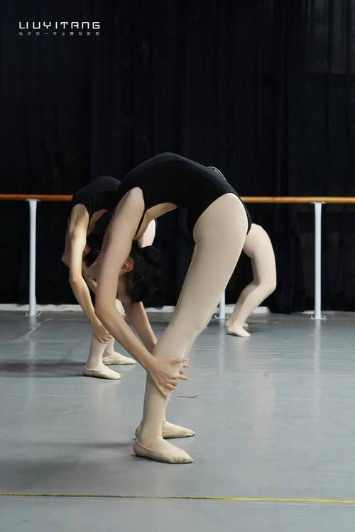 贵州2025舞蹈校考何时考？考什么内容？-第3张图片-泰美艺术培训