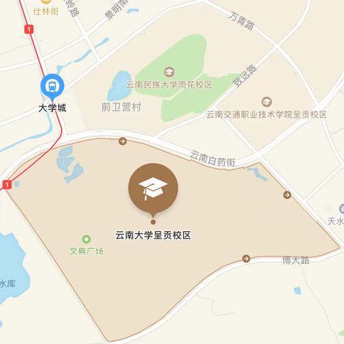 云南大学舞蹈招生简章有哪些要求？-第2张图片-泰美艺术培训