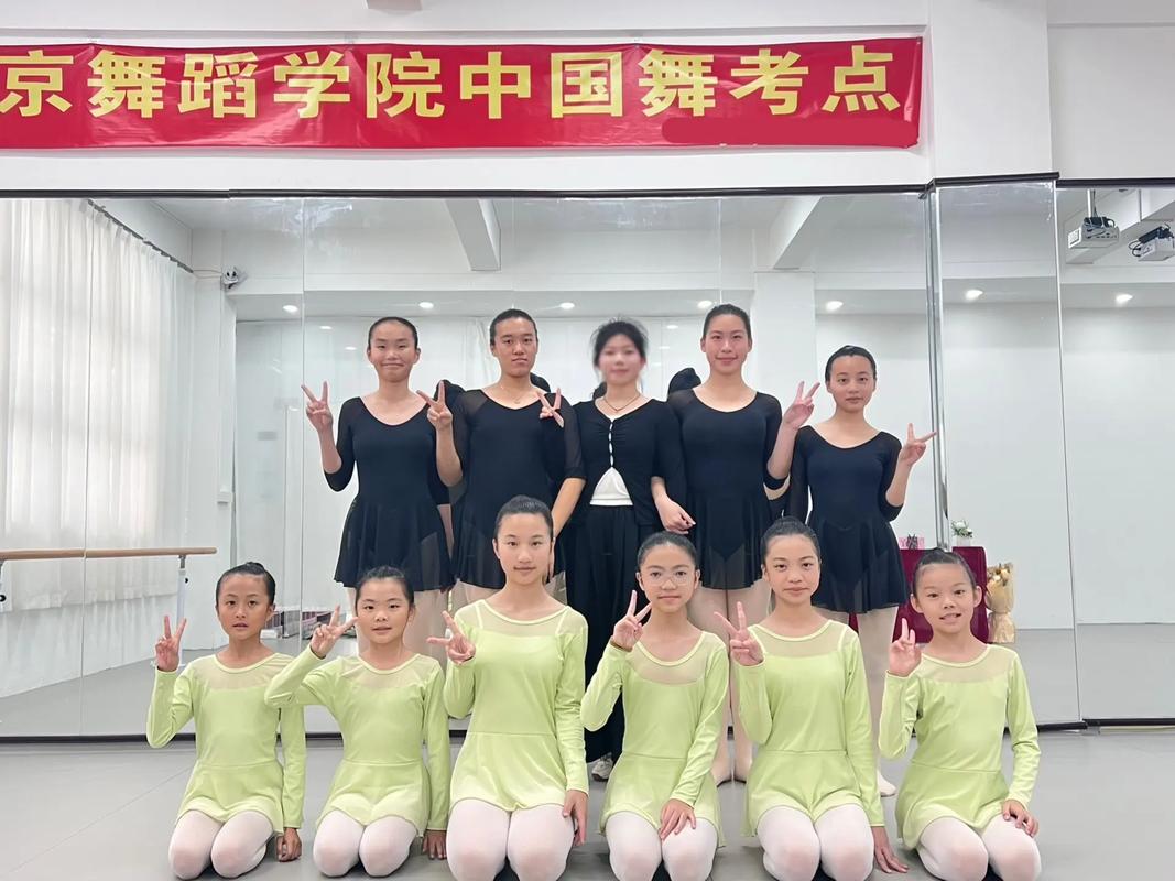 艺考舞蹈专业有哪些?-第2张图片-泰美艺术培训 艺考舞蹈专业有哪些?-第2张图片-泰美艺术培训