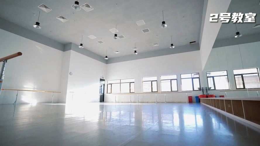 舞蹈艺考生为何向往心仪学校?-第2张图片-泰美艺术培训 舞蹈艺考生为何向往心仪学校?-第2张图片-泰美艺术培训