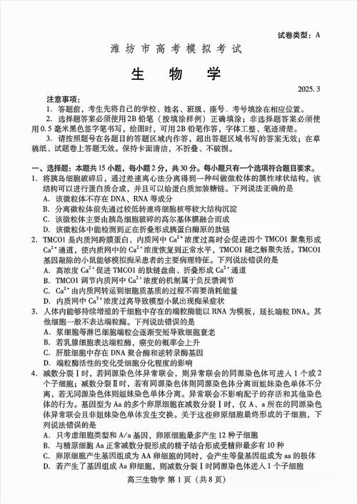 潍坊市联考2025高二-第1张图片-泰美艺术培训 潍坊市联考2025高二-第1张图片-泰美艺术培训