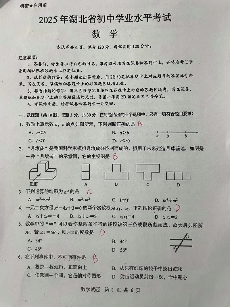 2025湖北联考试题有何变化或特点？-第1张图片-泰美艺术培训