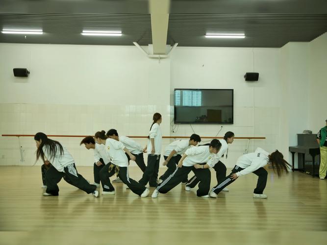 广西学舞蹈的学校有哪些?-第1张图片-泰美艺术培训 广西学舞蹈的学校有哪些?-第1张图片-泰美艺术培训