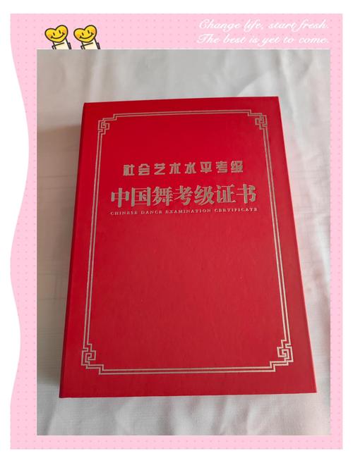 舞蹈生考级证书到底能不能加分？-第1张图片-泰美艺术培训