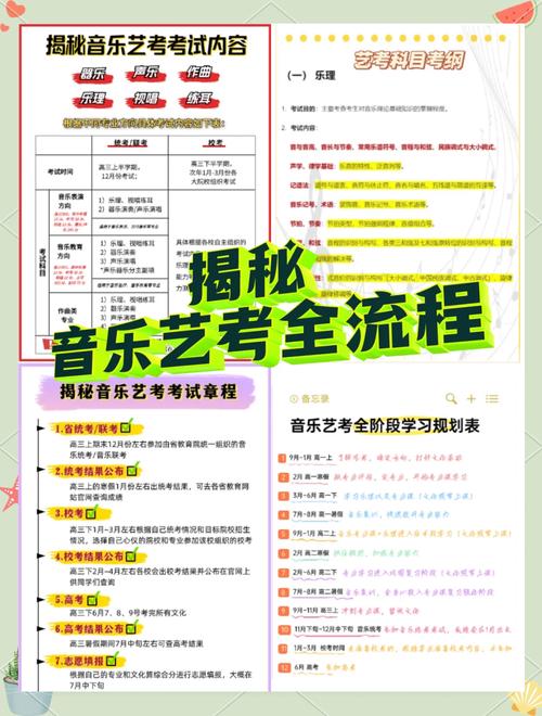 音乐艺考考哪些核心内容？-第2张图片-泰美艺术培训
