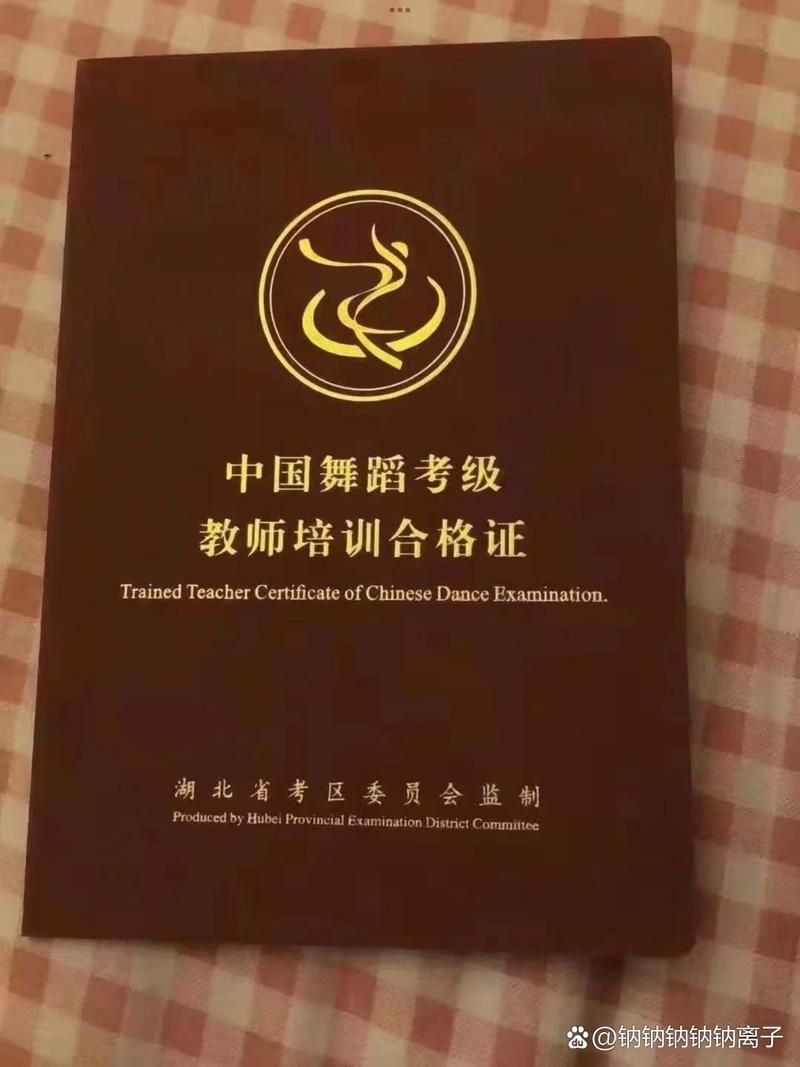 吉林省舞蹈联考报名入口在哪里？-第2张图片-泰美艺术培训