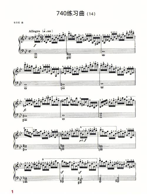 车尔尼740 音乐学院-第1张图片-泰美艺术培训