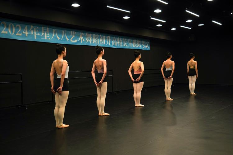 河北传媒学院舞蹈文化课有何特色？-第1张图片-泰美艺术培训