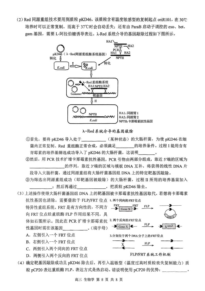 2025广西高三大联考考什么？-第2张图片-泰美艺术培训