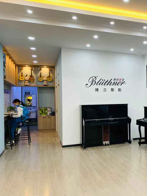 南京高考音乐培训机构哪家好？-第2张图片-泰美艺术培训