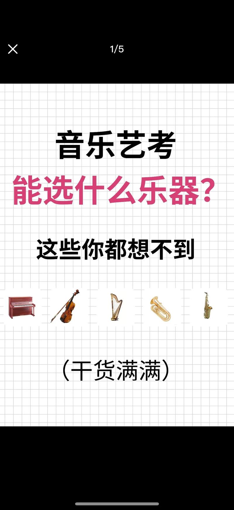 艺考音乐类考什么 乐器-第3张图片-泰美艺术培训