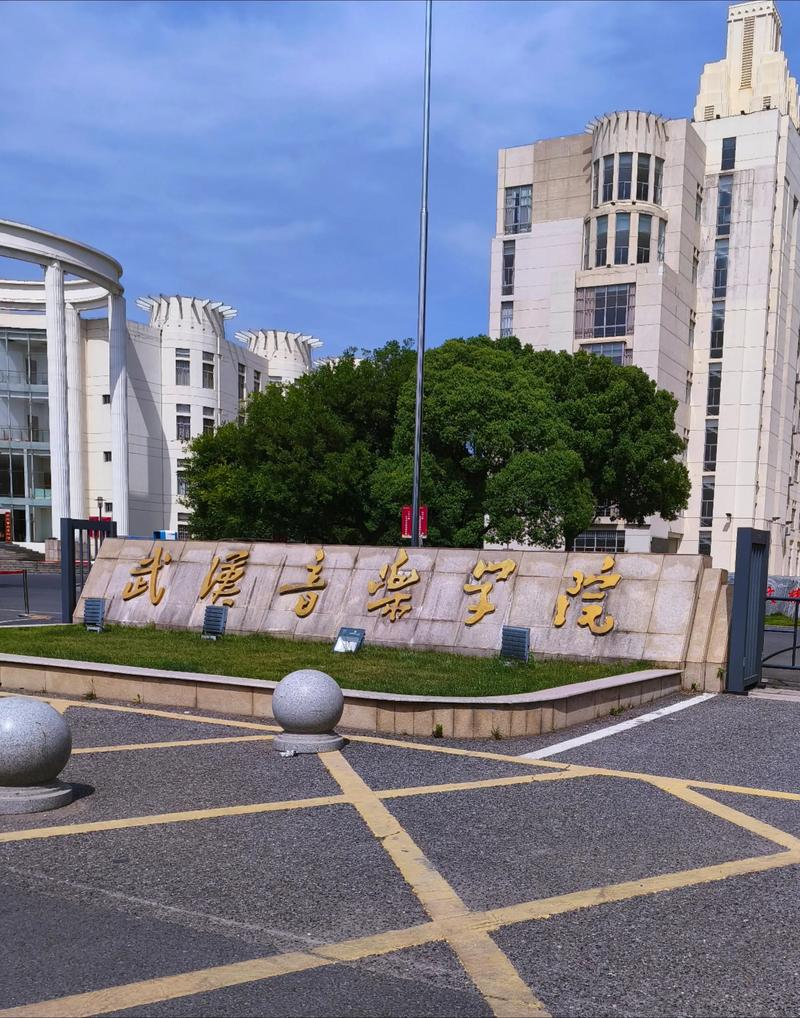 2025武汉音乐类学校有哪些?招生要求是什么?-第1张图片-泰美艺术培训 2025武汉音乐类学校有哪些?招生要求是什么?-第1张图片-泰美艺术培训