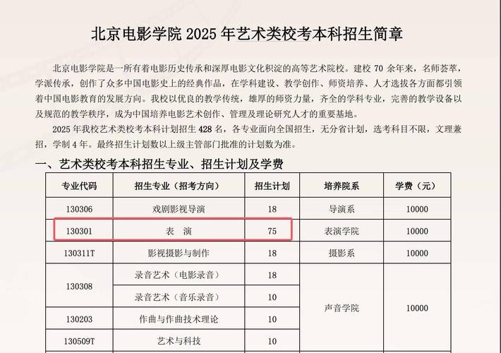 北电艺考表演需满足哪些条件？-第2张图片-泰美艺术培训