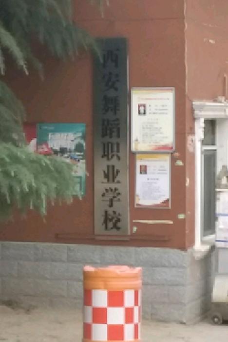 西安有哪些好的舞蹈大学？-第1张图片-泰美艺术培训