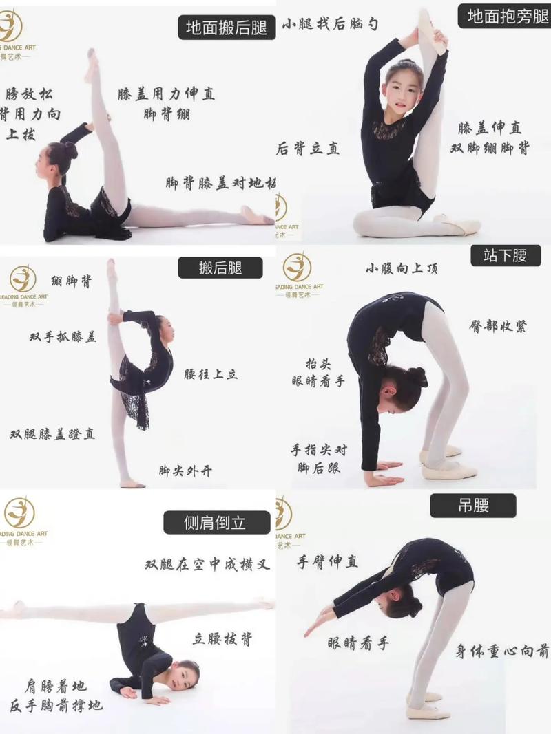 舞蹈艺考备考该准备哪些核心内容？-第3张图片-泰美艺术培训