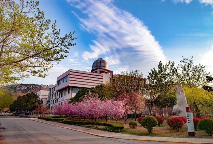 枣庄学院2025美术招生政策有哪些变化？-第2张图片-泰美艺术培训