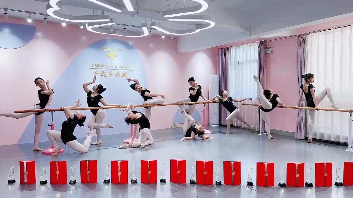 舞蹈艺考怎么考 去哪考-第2张图片-泰美艺术培训