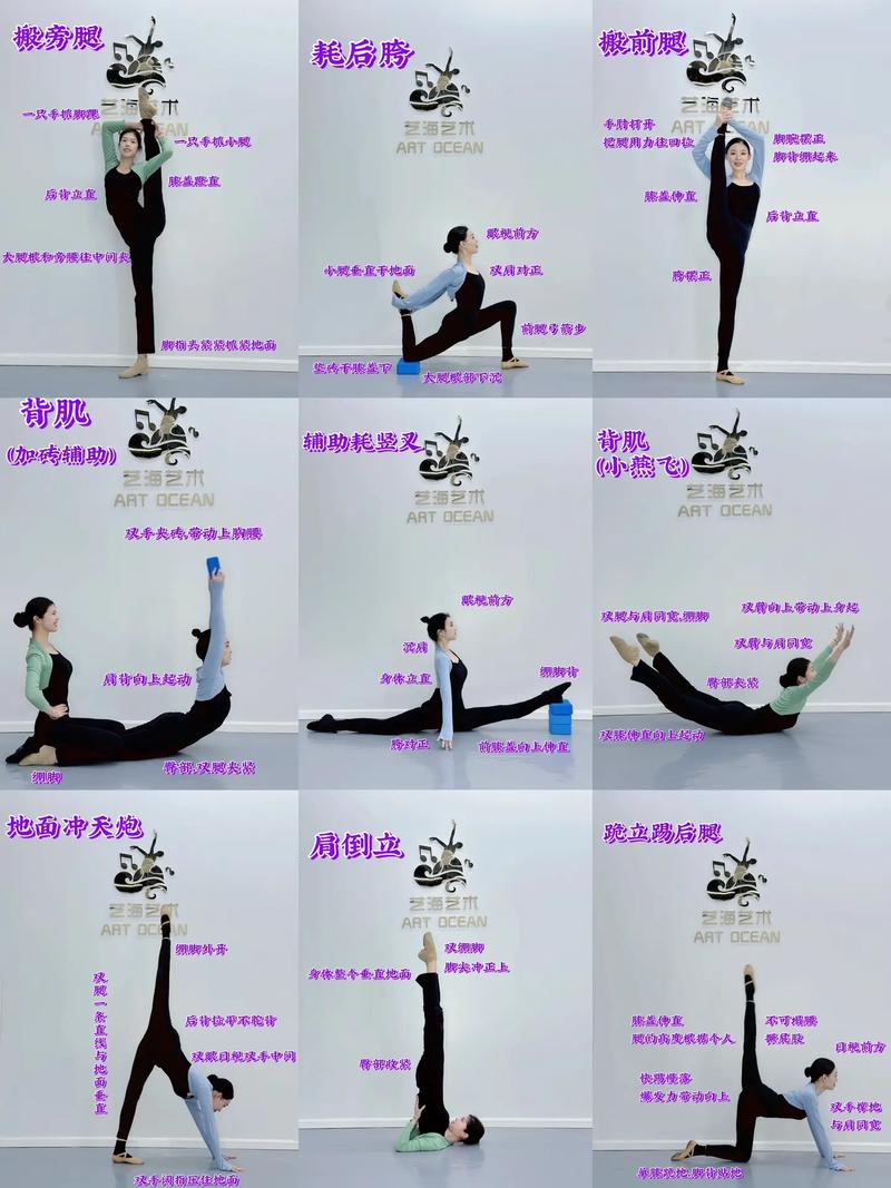 艺考舞蹈专业考哪些核心内容?-第3张图片-泰美艺术培训 艺考舞蹈专业考哪些核心内容?-第3张图片-泰美艺术培训